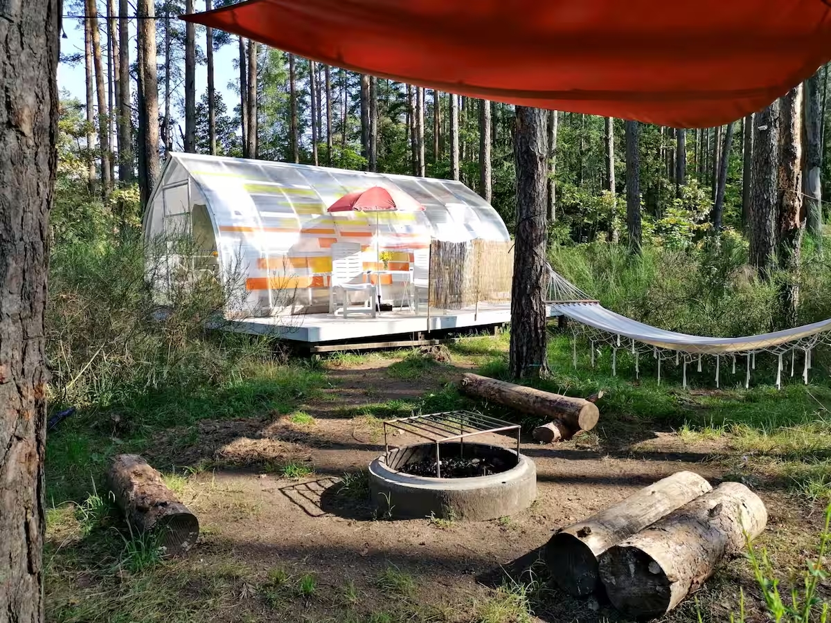 Glampingo klubas „Bučeliškė“ Šiltnamio namelis