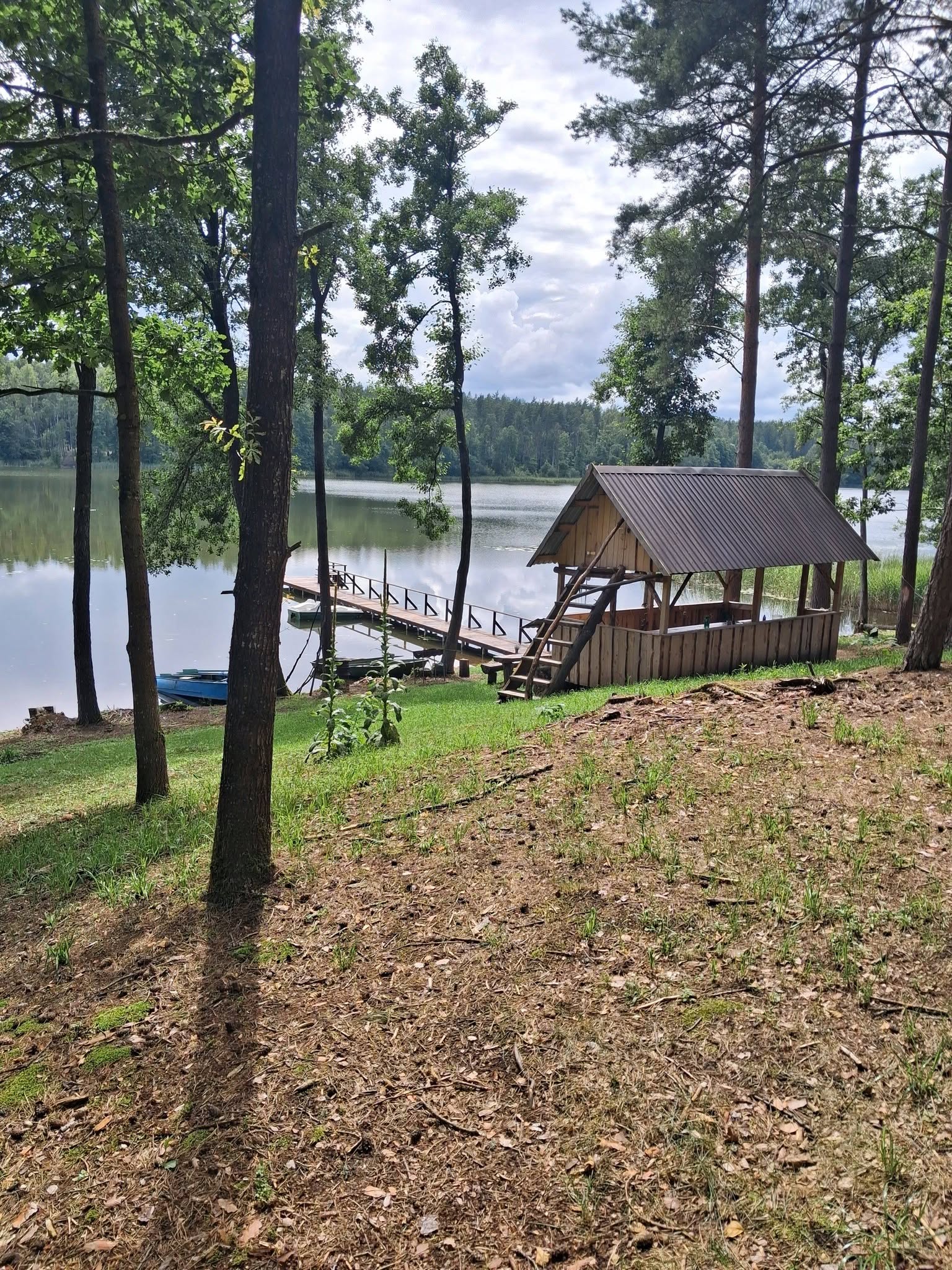 Stovyklauk pas Mindaugėlį prie Niedaus